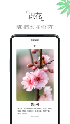 养花大全最新版app免费下载