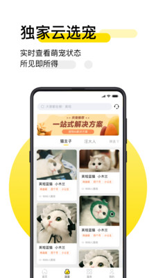 共宠平台手机版免费下载-共宠app最新版下载