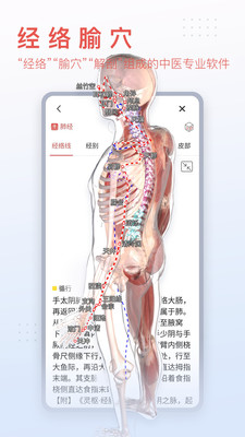 3Dbody解剖软件手机版下载