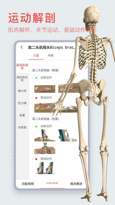 3Dbody解剖软件手机版下载-3Dbody解剖安卓破解版下载