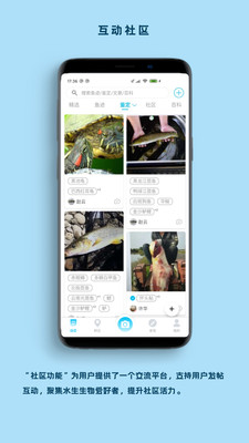 看鱼水生生物识别最新版下载-看鱼手机版app免费下载