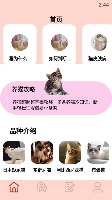 摸摸小猫app下载-摸摸小猫app最新版下载v1.1