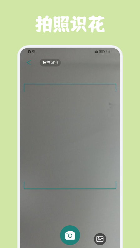 识花拍照帮app-识花拍照帮app安卓版v1.0