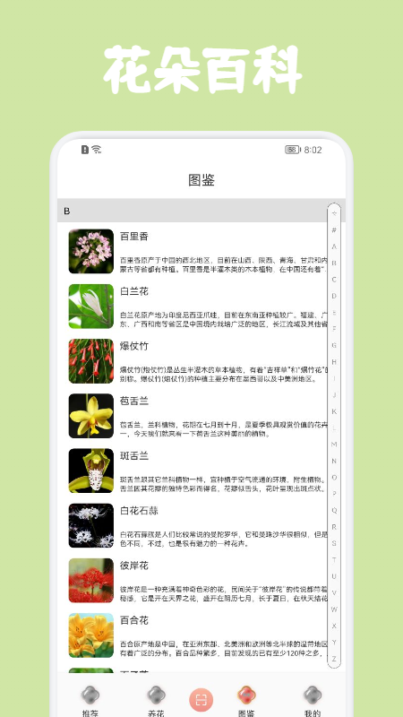 识花拍照帮app-识花拍照帮app安卓版v1.0