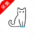 猫影视app