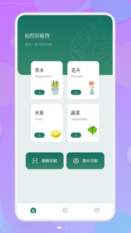 拍照识物伴侣app下载-拍照识物伴侣生活服务app最新版下载v1.1