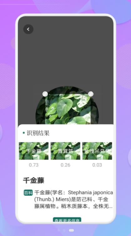 拍照识物伴侣app下载-拍照识物伴侣生活服务app最新版下载v1.1