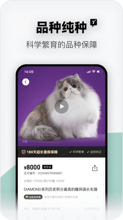 随它app-随它app官方版下载v1.0.8