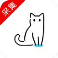 猫影视tv