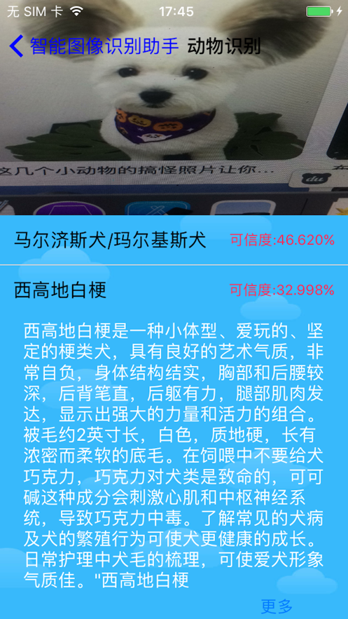 智能图像识别助手app下载-智能图像识别助手生活服务app官方下载v1.1