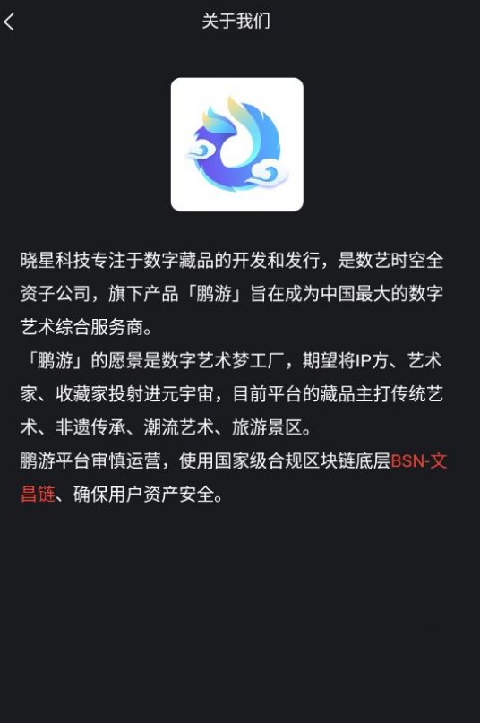 鹏游app下载-鹏游数藏appv1.0