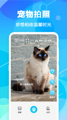 猫语翻译petapp下载-猫语翻译pet辅助工具app最新版v4.1.0