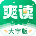 爽读大字版app