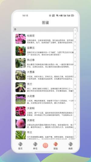 梦想鲜花app-梦想鲜花app安卓版v1.1