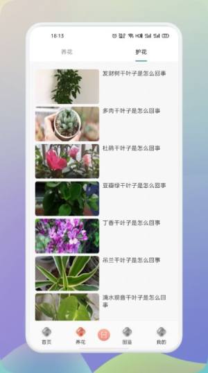 梦想鲜花app-梦想鲜花app安卓版v1.1