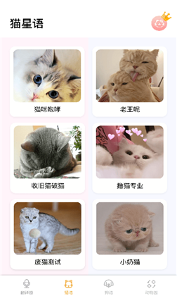 猫猫语翻译app特别版下载-猫猫语翻译app特别版 V1.0.2