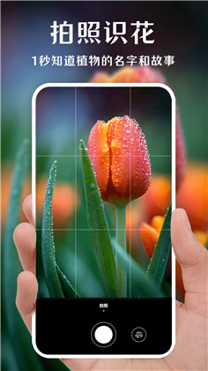 一键拍照识花APP绿色版下载-一键拍照识花APP绿色版 V3.0.0