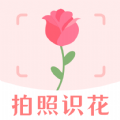 一键拍照识花APP绿色版