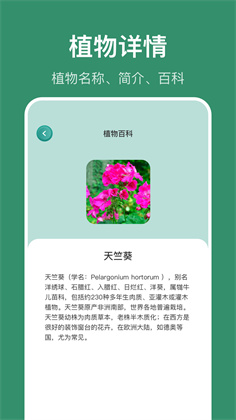 花仙识花草VIP版下载-花仙识花草VIP版 V1.1