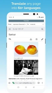 kiwi浏览器中文版-kiwi浏览器中文版下载v1.0