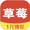 草莓看点app