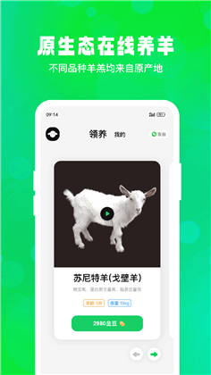 飞扣牧场免费版下载-飞扣牧场免费版 V1.0.0