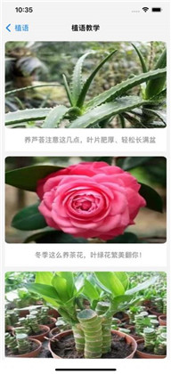 植语专业版下载-植语专业版 V1.0