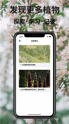 植物识别定制版下载-植物识别定制版 V1.1