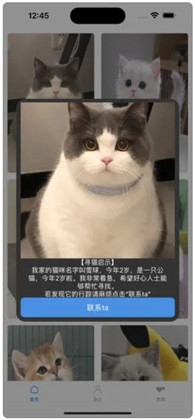 寻猫启示录苹果ios版下载-寻猫启示录苹果ios版 V1.0