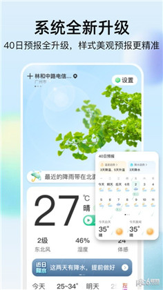 竹雨天气免费版下载-竹雨天气免费版 V1.0