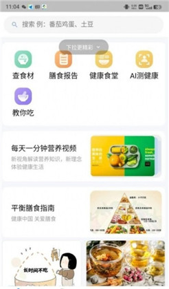 AI膳食营养师纯净版下载-AI膳食营养师纯净版 V1.0.0