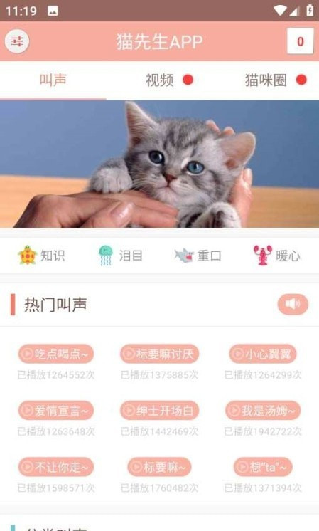 博猫管家app绿色版下载-博猫管家app绿色版 V7.7