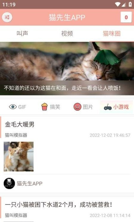 博猫管家app绿色版下载-博猫管家app绿色版 V7.7