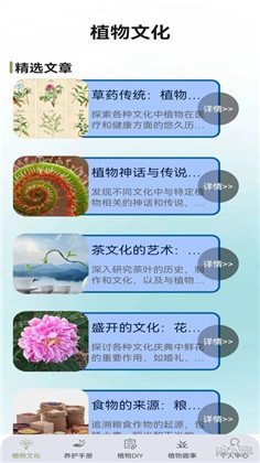 植物小伙伴绿色版下载-植物小伙伴绿色版 V1.0