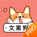 文案伴侣APP