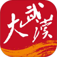 大武汉app