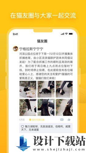 哈啰街猫app官方版